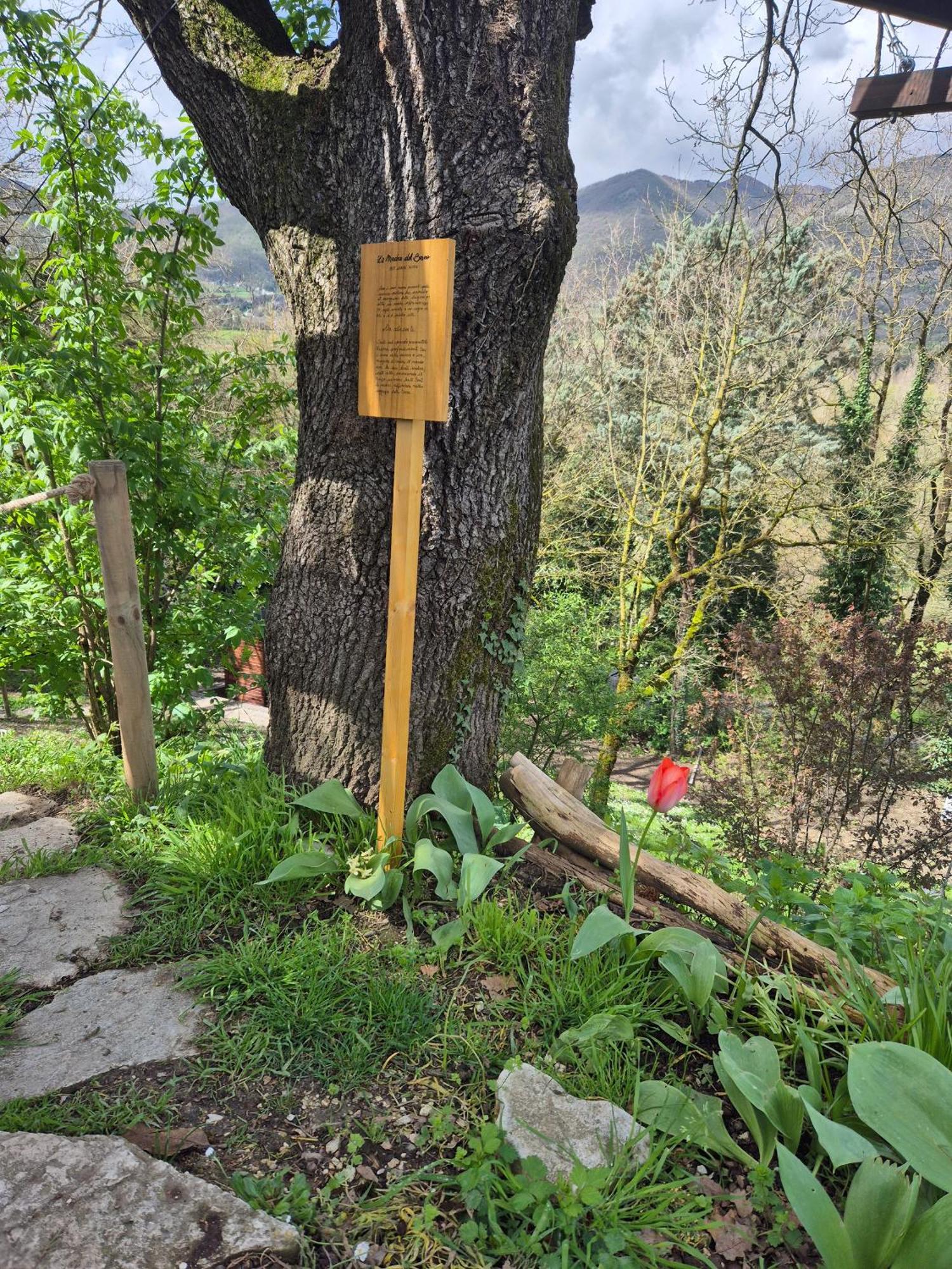 B&B Colle Di Terria Country House Contigliano Dış mekan fotoğraf