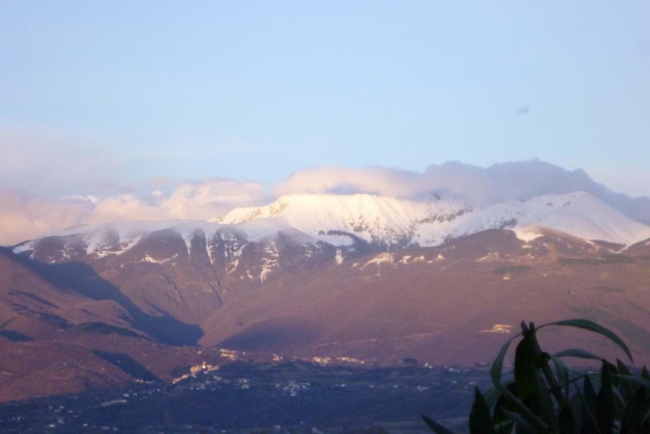 B&B Colle Di Terria Country House Contigliano Dış mekan fotoğraf
