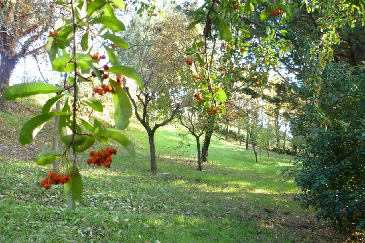 B&B Colle Di Terria Country House Contigliano Dış mekan fotoğraf
