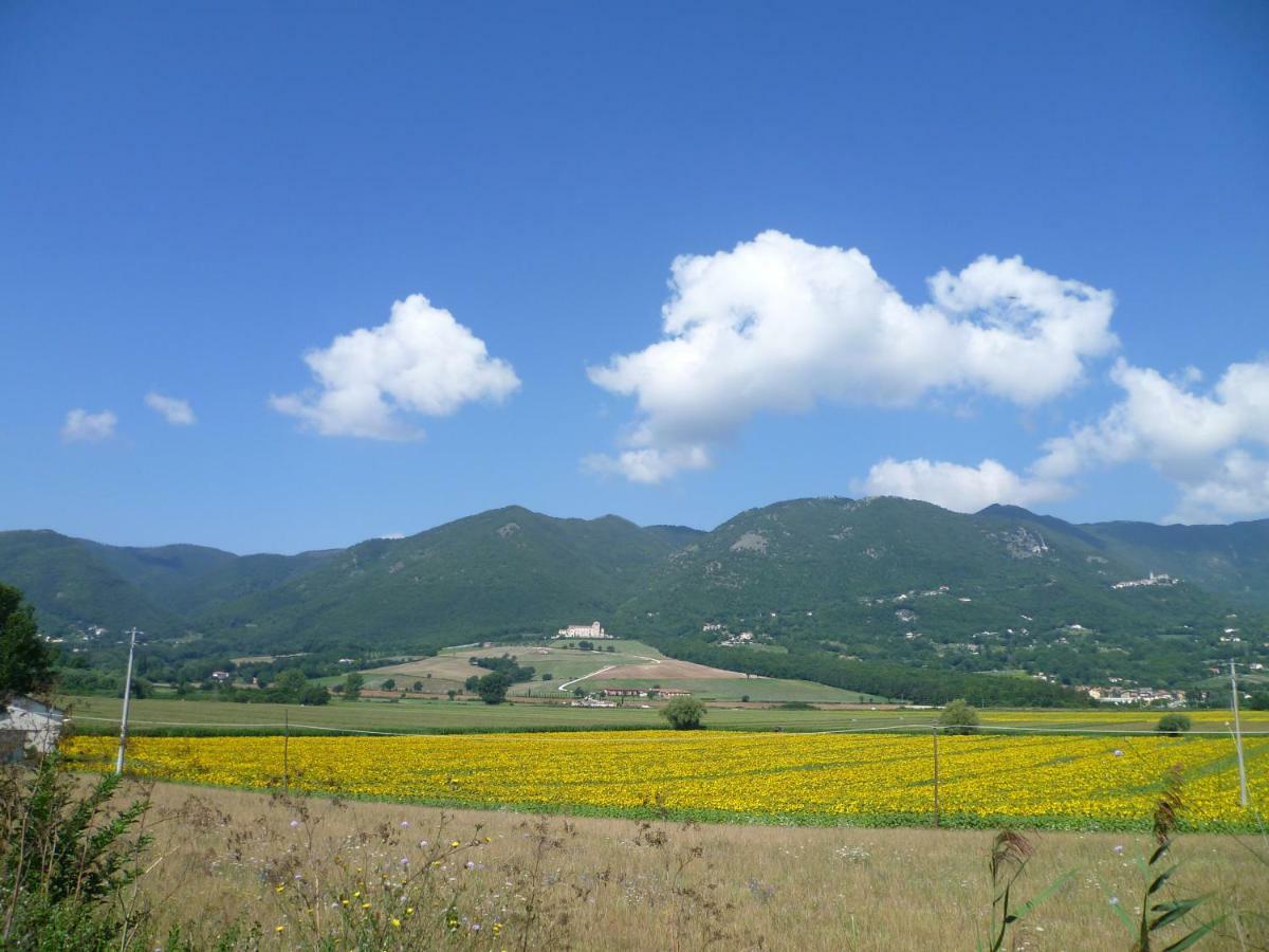 B&B Colle Di Terria Country House Contigliano Dış mekan fotoğraf